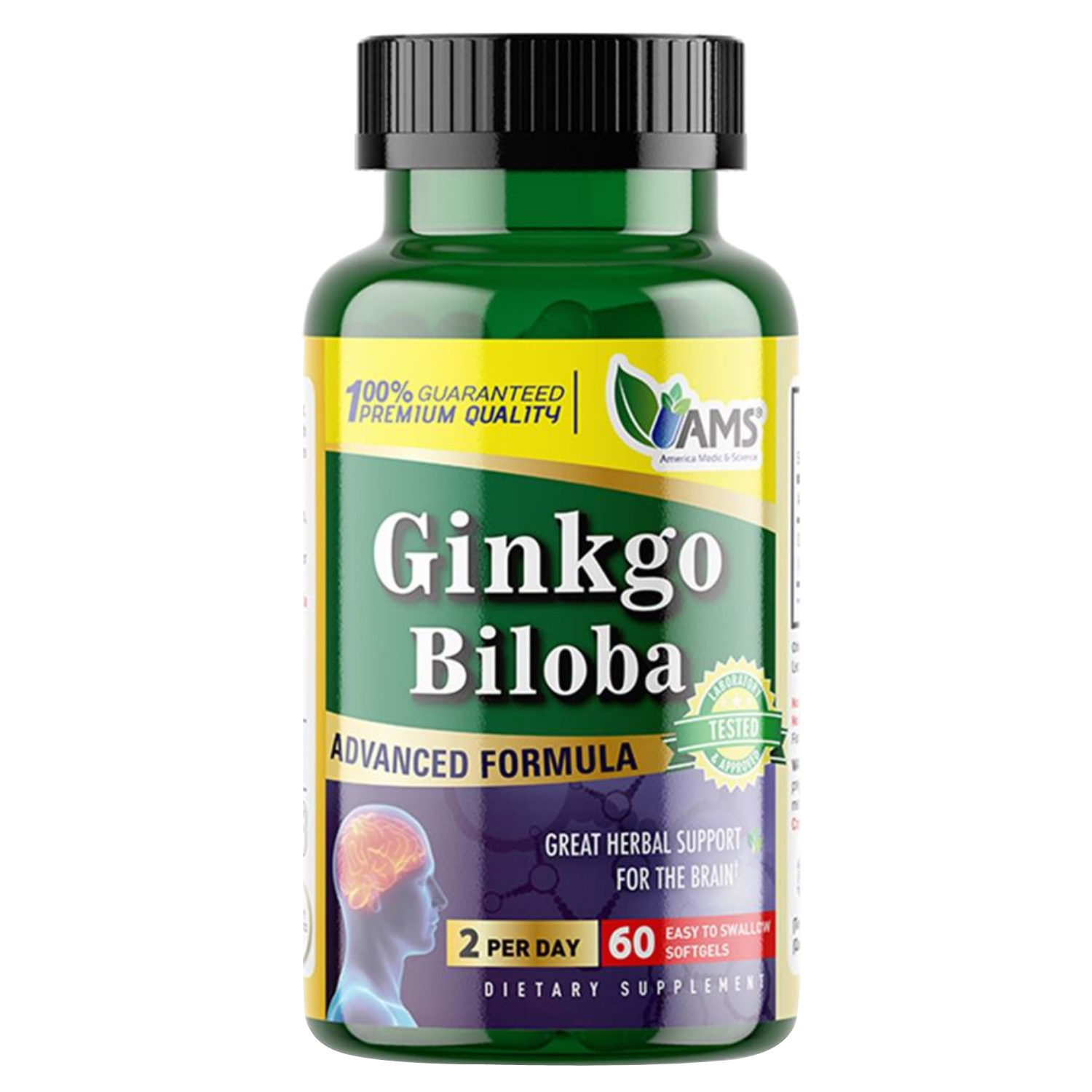 إي إم إس الجنكه بيلوبا AMS Ginkgo Biloba 60 مجم 60 كبسولة جيلاتينية