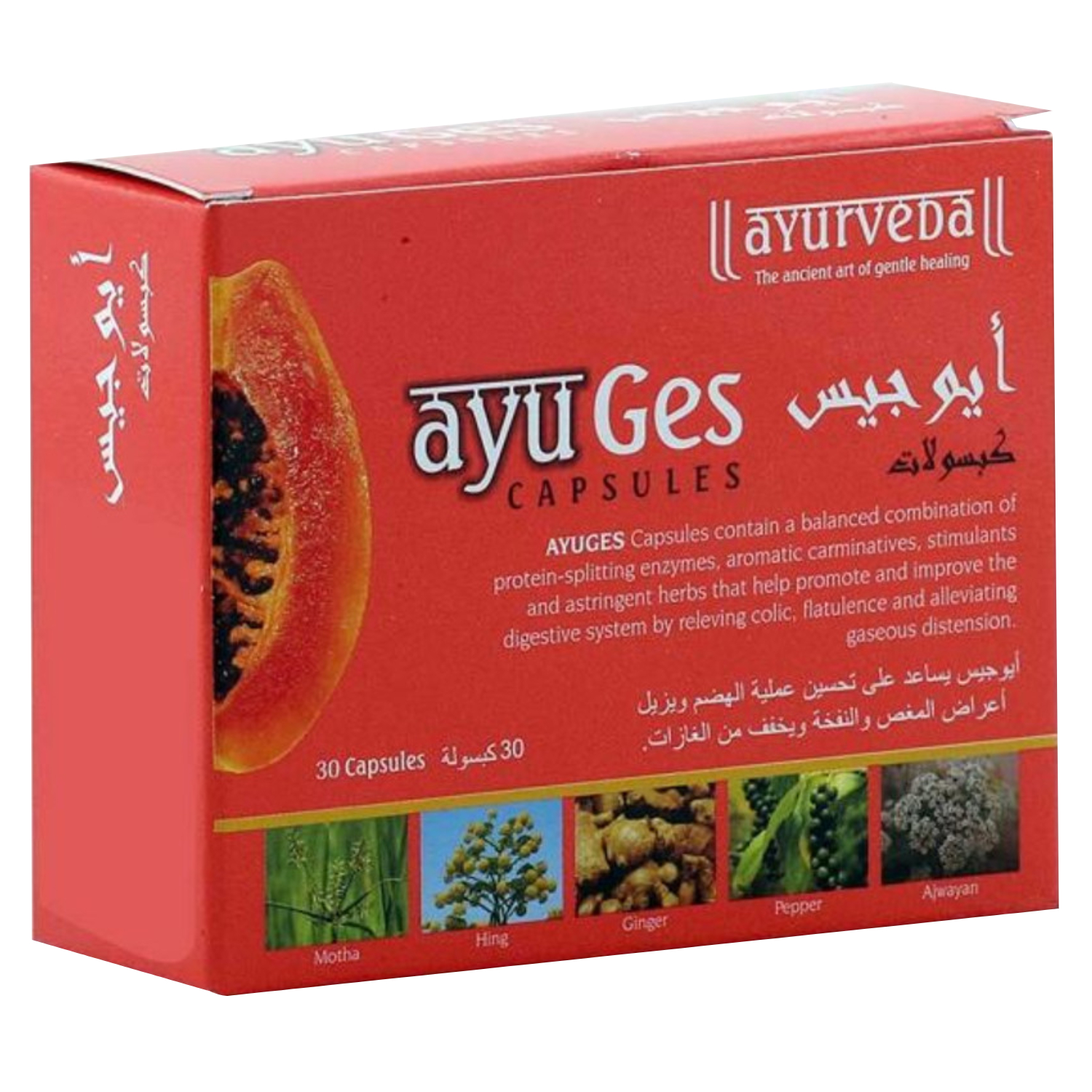 Back Image for Ayu Ges Capsules 30's