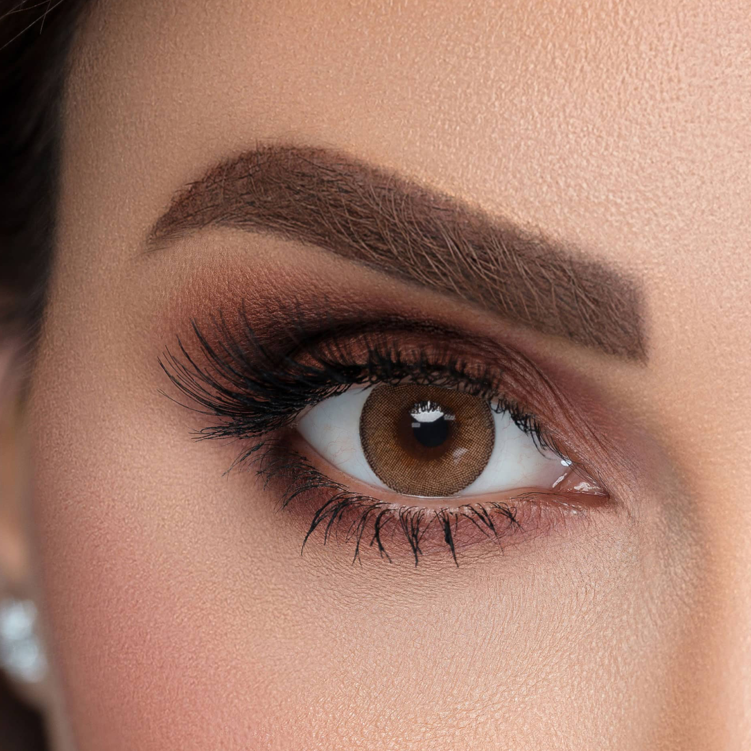 Back Image for Sama Daily Contact Lenses Sweet Brown Color 10's