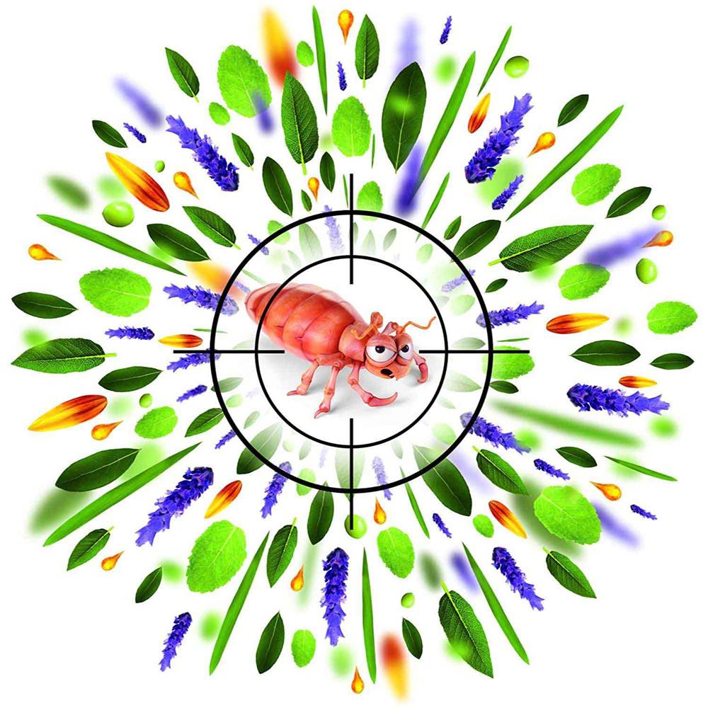 صورة المنتج